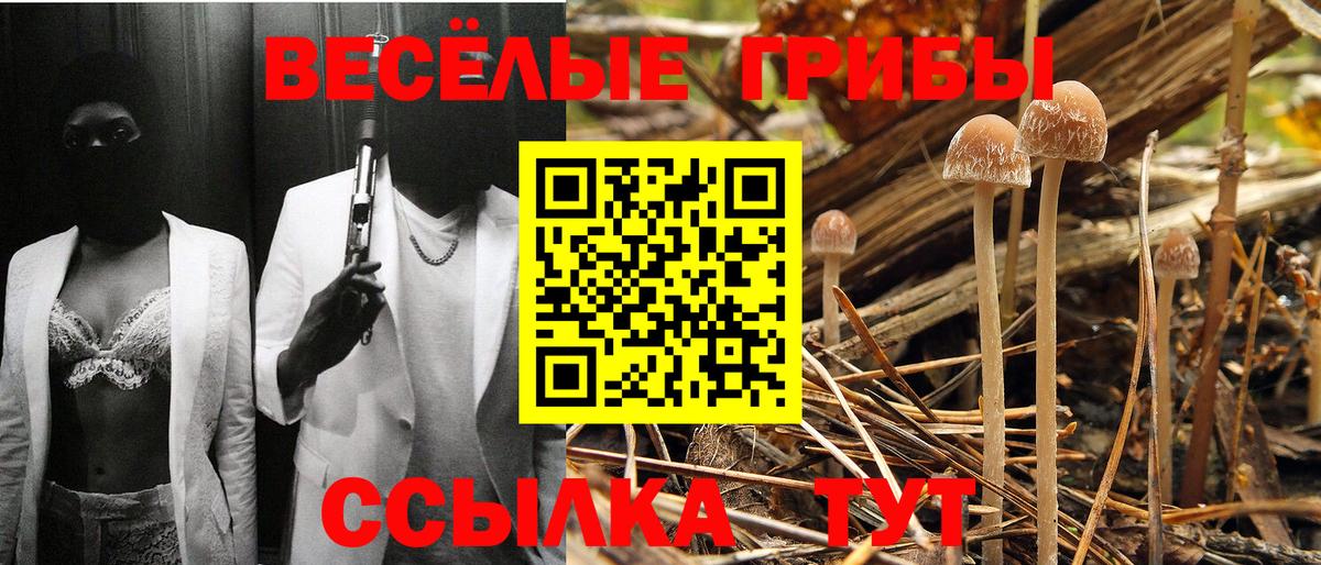 Псилоцибиновые грибы MAGIC MUSHROOMS Ковров